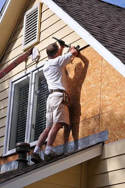 Best Storm Damage Siding Repair  in Jasper, TX